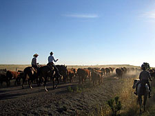 USA-Wyoming-New Haven Ranch